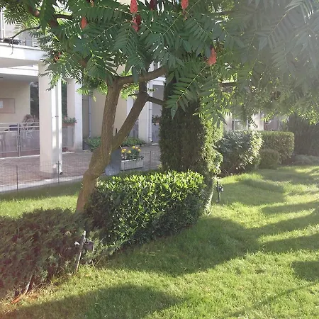 Aparment In Elit 2 Sunny Beach
